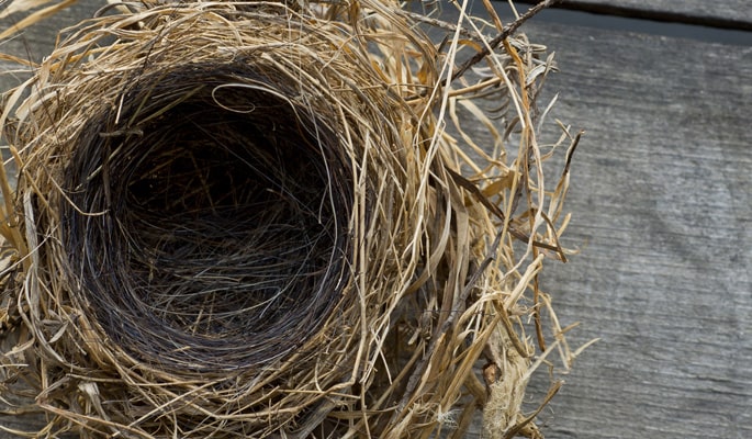 Nest Removal